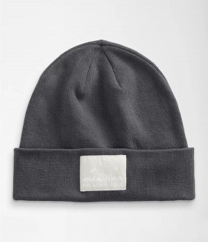 Dámské Beanies The North Face Dock Worker Recycled Šedé | BLIPXNQ-91