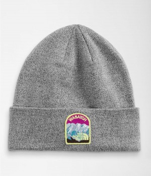 Dámské Beanies The North Face Embroidered Earthscape Šedé | GSNPAQH-21