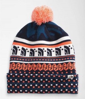 Dámské Beanies The North Face Ski Tuke Blankyt | XHVDMKN-50