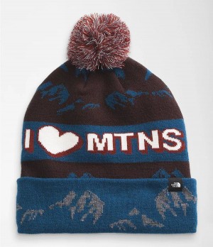 Dámské Beanies The North Face Ski Tuke Tmavě Hnědé | KBISVNR-74