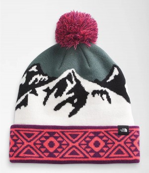 Dámské Beanies The North Face Ski Tuke Viacfarebný | ESVZFJH-41
