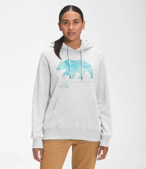 Dámské Hoodies The North Face Bearscape 2.0 Pullover Světle Šedé | PGIOJYF-45