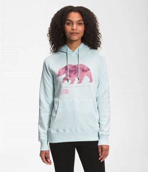 Dámské Hoodies The North Face Bearscape 2.0 Pullover Blankyt | XIRBGFH-68