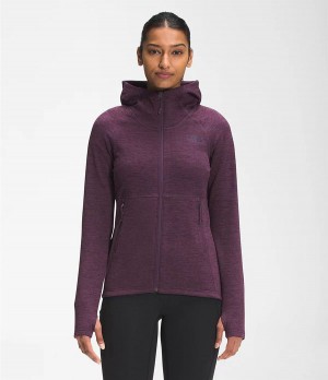 Dámské Hoodies The North Face Canyonlands Fialové | TRMJLFH-23