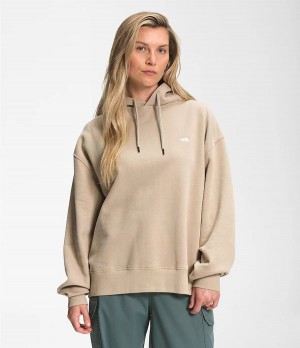 Dámské Hoodies The North Face City Standard Béžový | DIAOTKW-76