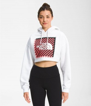 Dámské Hoodies The North Face Coordinates Crop Drop Pullover Bílé | MILGPFV-49