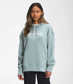 Dámské Hoodies The North Face Himalayan Bottle Source Pullover Blankyt | YPJCGRM-03
