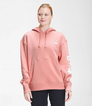 Dámské Hoodies The North Face Himalayan Bottle Source Pullover Růžové | QCLESKB-06