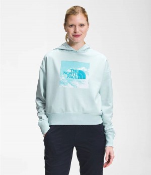 Dámské Hoodies The North Face Logo Play Blankyt | LRCXPJZ-83