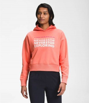 Dámské Hoodies The North Face Logo Play Oranžové | DZSNMVI-08