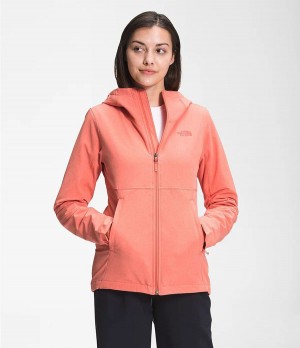Dámské Hoodies The North Face Shelbe Raschel Oranžové | UPEGNKY-48