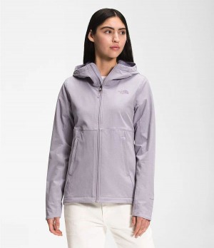 Dámské Hoodies The North Face Shelbe Raschel Šedé | FNDILSC-92