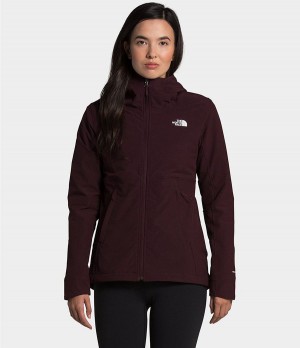 Dámské Hoodies The North Face Shelbe Raschel Hnědé | AXLBUTG-36