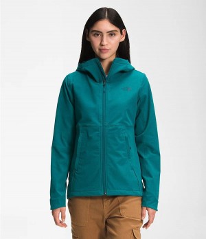 Dámské Hoodies The North Face Shelbe Raschel Blankyt | LQVXWRP-23