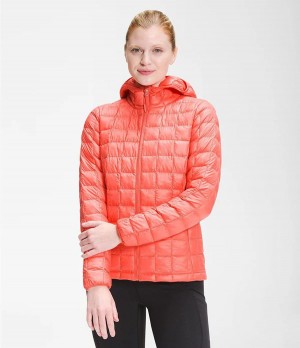 Dámské Hoodies The North Face Thermoball Eco Oranžové | DKEMBUL-80