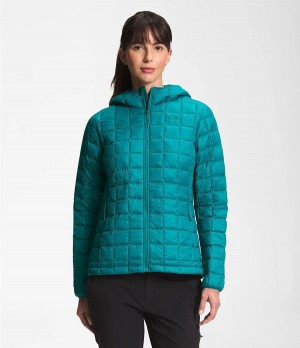 Dámské Hoodies The North Face Thermoball Eco Blankyt | CLWKZSB-40
