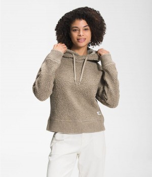Dámské Hoodies The North Face Wool Harrison Pullover Šedé | NTUYELP-59