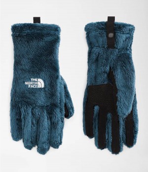 Dámské Rukavice The North Face Osito Etip Blankyt | NDSHMKI-95