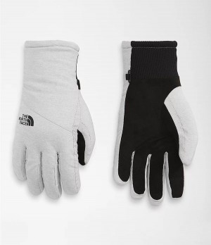 Dámské Rukavice The North Face Shelbe Raschel Etip Světle Šedé | FUIZCER-46