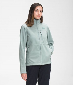 Dámské Softshellová Bunda The North Face Apex Bionic Blankyt | NWSHGIU-35