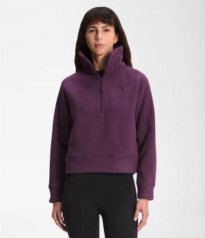 Dámské Softshellová Bunda The North Face City Standard Micro-Fleece ¼ Zip Fialové | BDTXPZE-96