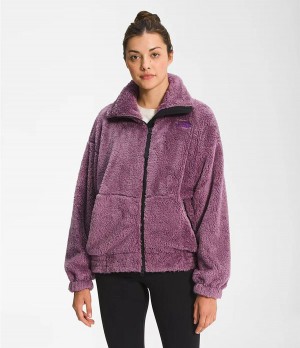 Dámské Softshellová Bunda The North Face Osito Expedition Full Zip Fialové | GLIRKMF-26