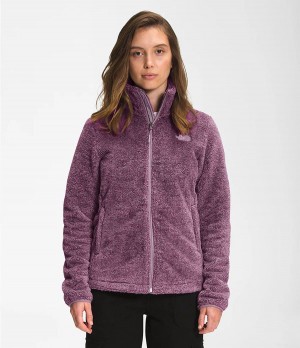 Dámské Softshellová Bunda The North Face Printed Multi-Color Osito Šedé | YWBZVDS-93