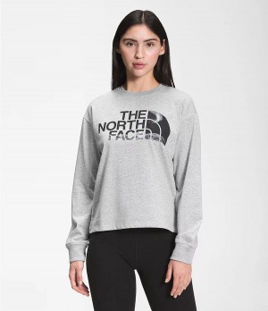 Dámské T-Shirts The North Face Recycled Expedition Graphic Long Sleeve Světle Šedé | QCTFDYX-26