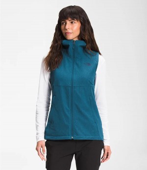 Dámské Vests The North Face Shelbe Raschel Hooded Blankyt | QANZWVG-56