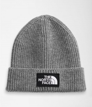 Dětské Beanies The North Face Tnf Logo Box Cuffed Šedé | BRWGSVL-81