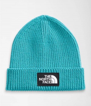 Dětské Beanies The North Face Tnf Logo Box Cuffed Blankyt | EUQCVFZ-48