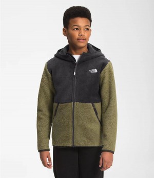 Dětské Bundy The North Face Forrest Full Zip Hooded Fleece Olivy Zelené | RULGSIY-67
