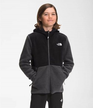 Dětské Bundy The North Face Forrest Full Zip Hooded Fleece Šedé | TKIXYUD-26