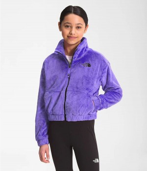 Dětské Bundy The North Face Osolita Full Zip Fialové | NUDFSYQ-43