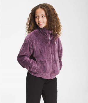 Dětské Bundy The North Face Osolita Full Zip Fialové | DCPMTLB-25