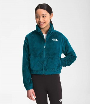 Dětské Bundy The North Face Osolita Full Zip Blankyt | GLPAJEY-52