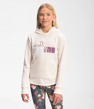 Dětské Hoodies The North Face Camp Fleece Pullover Bílé | ZALWBMU-51