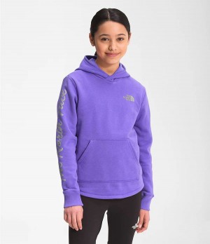 Dětské Hoodies The North Face Camp Fleece Pullover Fialové | OUZPDHR-34