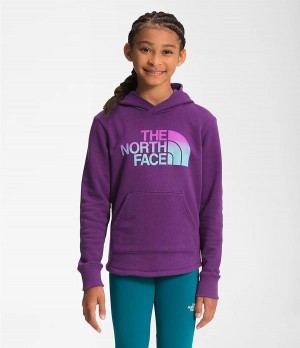 Dětské Hoodies The North Face Camp Fleece Pullover Fialové | EKWZSFG-58
