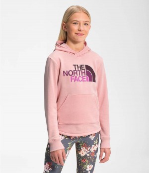 Dětské Hoodies The North Face Camp Fleece Pullover Růžové | CYWDRKE-40