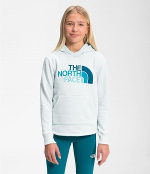 Dětské Hoodies The North Face Camp Fleece Pullover Blankyt | RWJNQXI-74