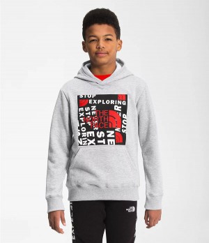 Dětské Hoodies The North Face Camp Fleece Pullover Světle Šedé | WVYXASQ-53