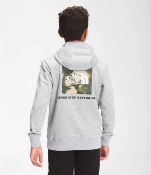 Dětské Hoodies The North Face Camp Fleece Pullover Světle Šedé | FRONLXM-63
