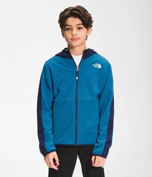 Dětské Hoodies The North Face Glacier Full Zip Blankyt | EKTMLZF-78
