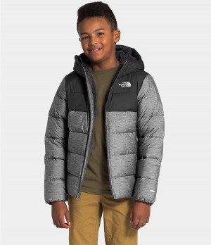 Dětské Hoodies The North Face Moondoggy Šedé | QSAXPJB-04