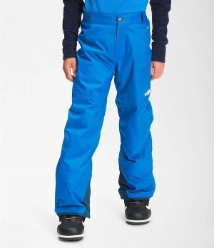 Dětské Kalhoty The North Face Freedom Insulated Blankyt | KAYXETW-96
