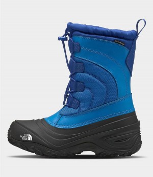 Dětské Obuv The North Face Alpenglow Iv Blankyt | ODMHKQE-59