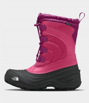Dětské Obuv The North Face Alpenglow Iv Růžové | DSMACTY-15