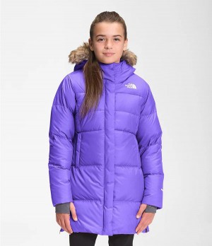 Dětské Parkas The North Face Dealio Fitted Fialové | ARJHUPQ-57