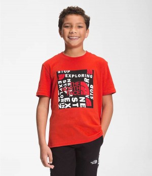 Dětské T-Shirts The North Face Short Sleeve Graphic Červené Černé | QSXZHIP-24